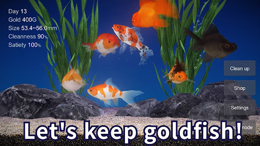 Goldfish 3D Relaxing Aquarium