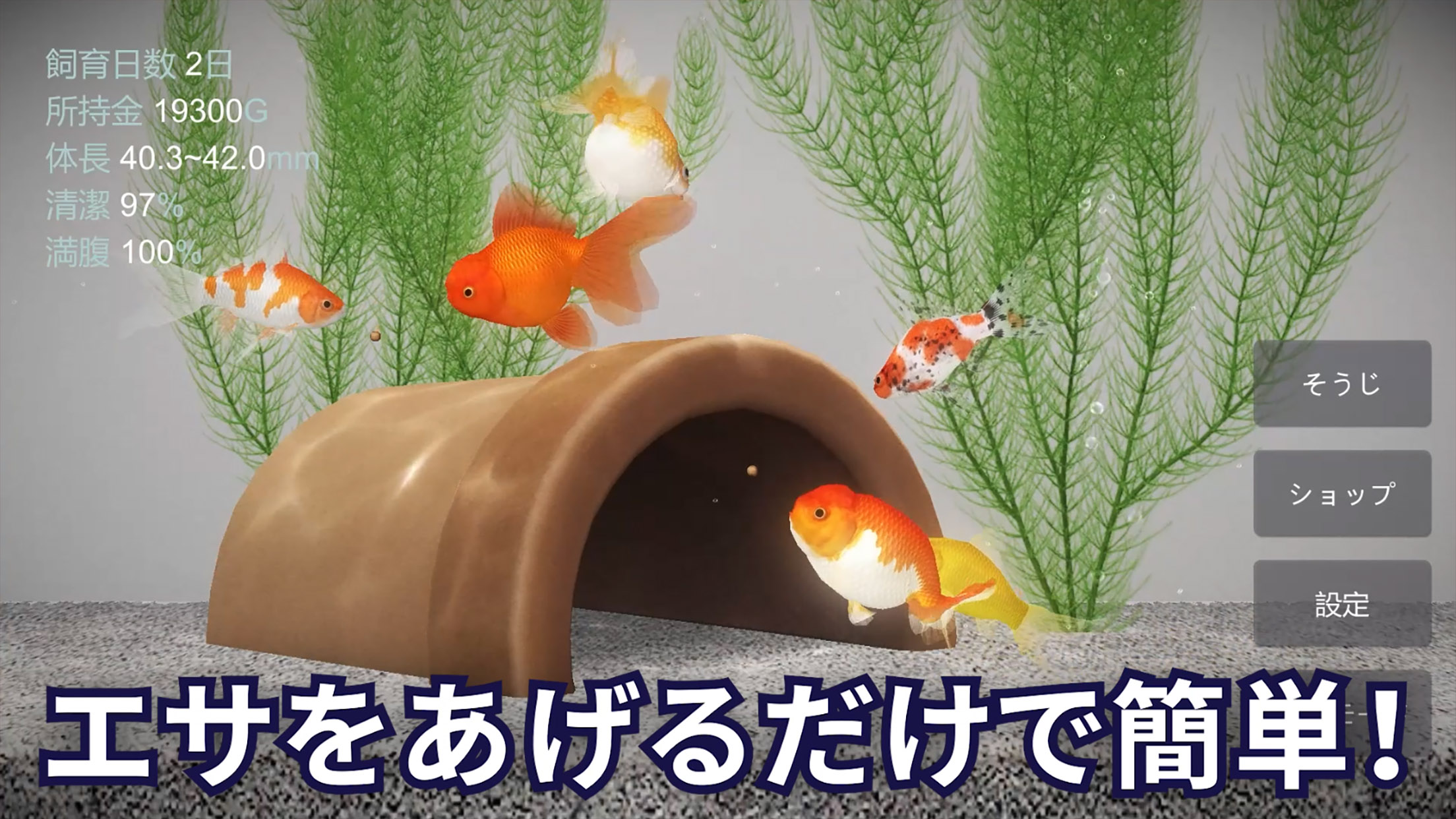 金魚育成アプリ・ポケット金魚 PC版