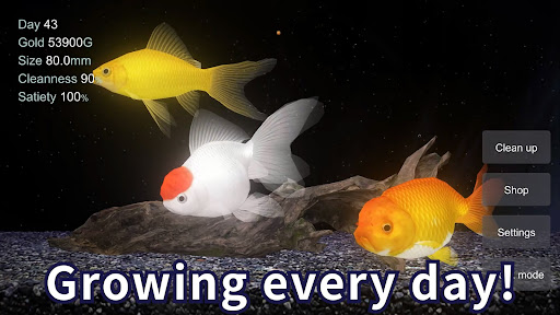 Goldfish 3D Relaxing Aquarium