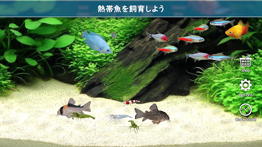熱帯魚育成「ミニアクア」癒しのアクアリウム体験 PC版