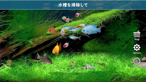 熱帯魚育成「ミニアクア」癒しのアクアリウム体験 PC版