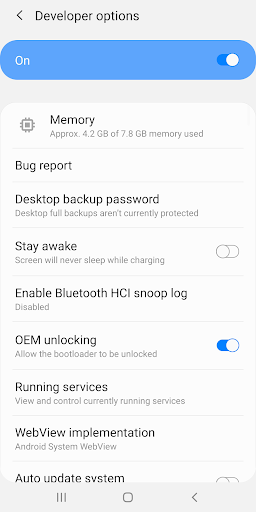 Opzioni sviluppatore PC