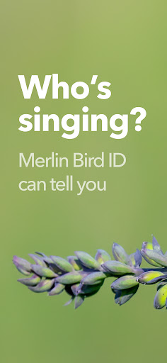 Merlin Bird ID by Cornell Lab PC