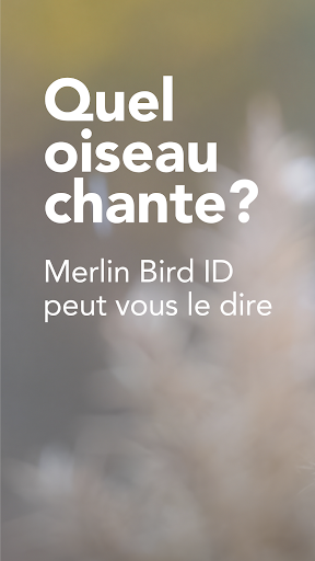 Merlin Bird ID par Cornell Lab PC