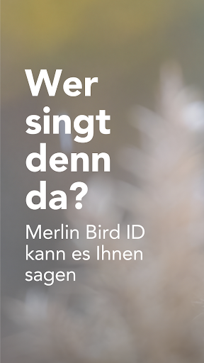 Merlin Bird ID von Cornell Lab PC