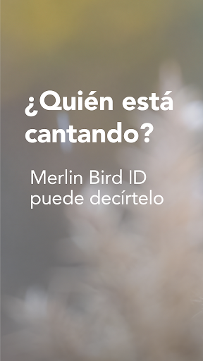 Merlin Bird ID de Cornell Lab PC