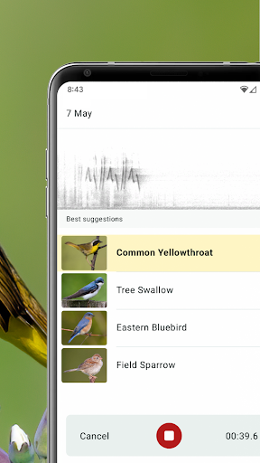 Merlin Bird ID by Cornell Lab PC
