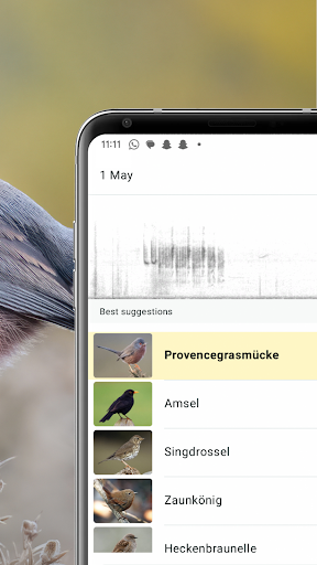 Merlin Bird ID von Cornell Lab PC