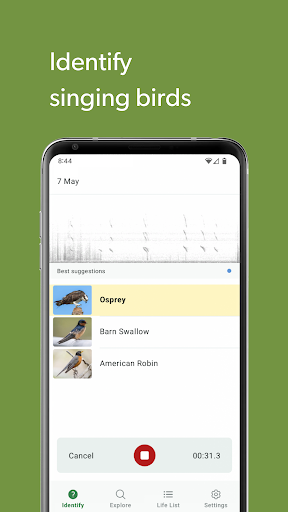 Merlin Bird ID by Cornell Lab PC