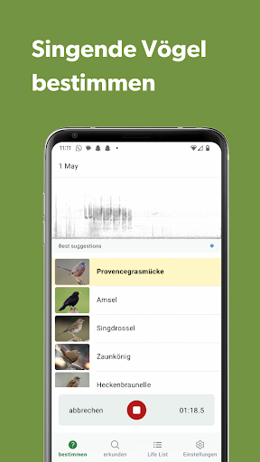 Merlin Bird ID von Cornell Lab PC