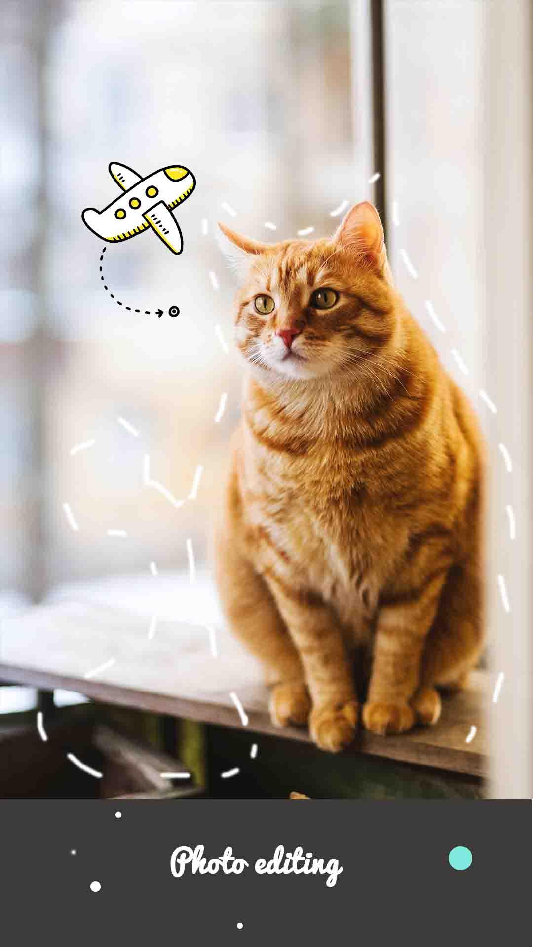 Photo Cut Studio Ultimate PC