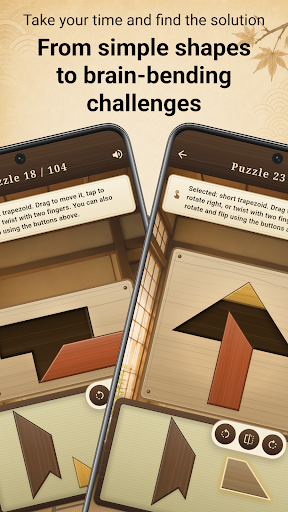 T Puzzle Zen: Brain Teaser PC