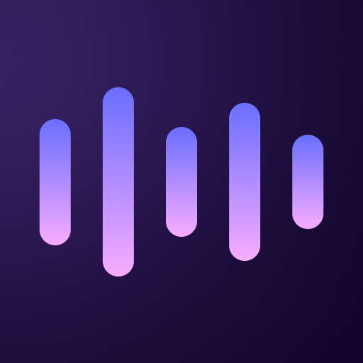 Voice Command, Setup Assistant پی سی