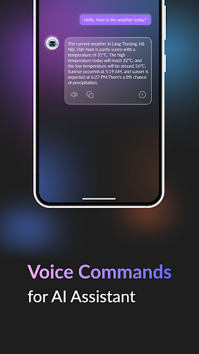 Voice Command, Setup Assistant پی سی