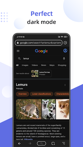 Lemur Browser - Extensions পিসি