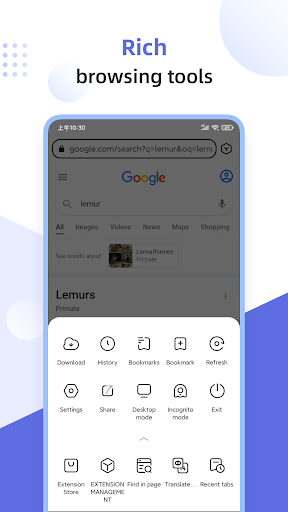 Lemur Browser - Extensions পিসি