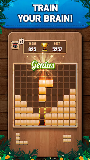 Wooden 100 Block Puzzle Game