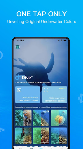 Dive+ : Diving Community PC