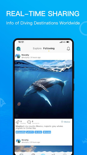 Dive+ : Diving Community PC