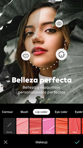 B612 - Beauty & Filter Camera PC