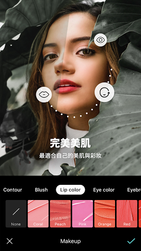 B612 AI Photo&Video Editor電腦版