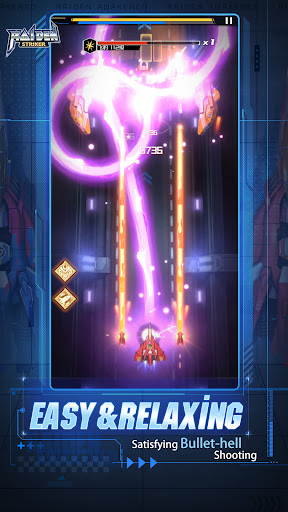 Raiden Striker PC