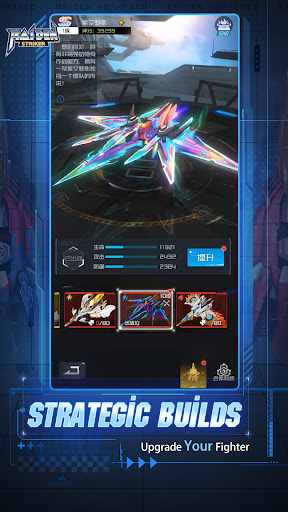 Raiden Striker PC