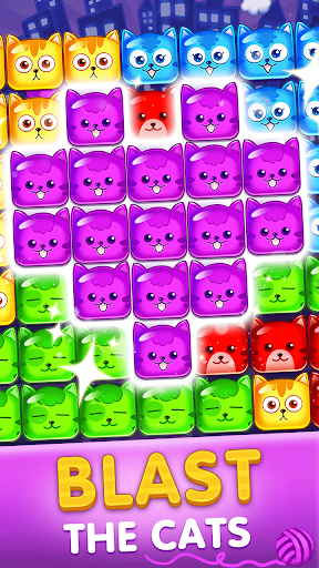 팝캣 (Pop Cat) PC