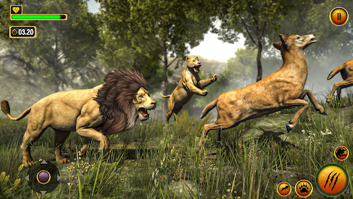 Jeu Roi Lion: Aventure sauvage