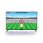 Cricket World Cup 2019 Live Match TV