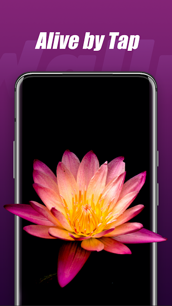 Live Wallpapers & Animated Backgrounds - Pix PC