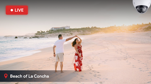 Живая камера - Просмотр улиц ПК