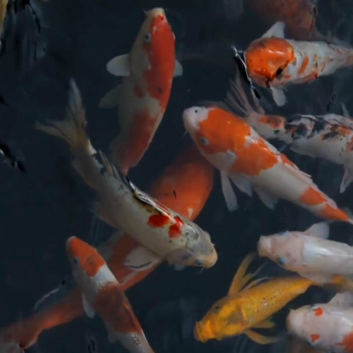 Echtes Aquarium Tapete