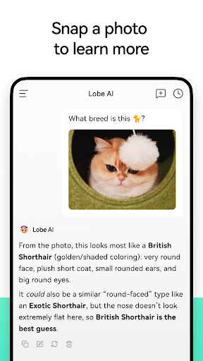 LobeHub: AI Agent Teammates電腦版