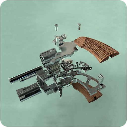 Gun Stripping Simulation পিসি