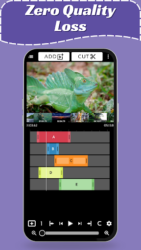 Lossless Video Cutter