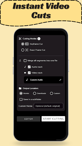 Lossless Video Cutter