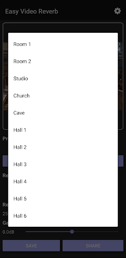 Easy Video Reverb PC
