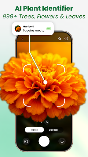 Plant Identifier: Tips & Care para PC