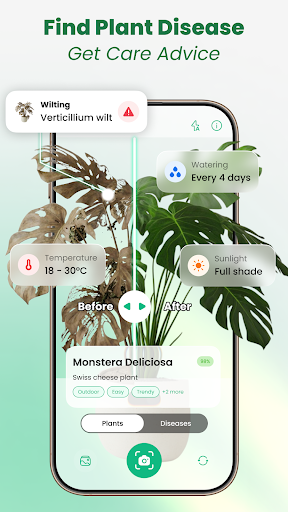 Plant Identifier: Tips & Care para PC