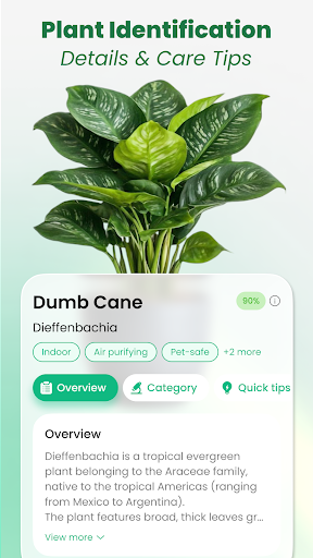 Plant Identifier: Tips & Care para PC