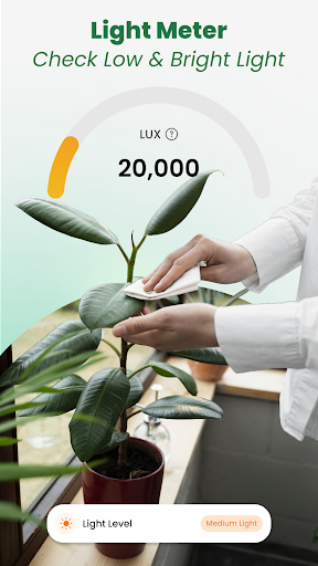 Plant Identifier: Tips & Care para PC