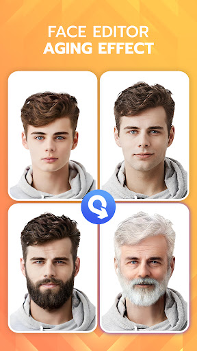 FaceLab Face Editor App, Aging PC