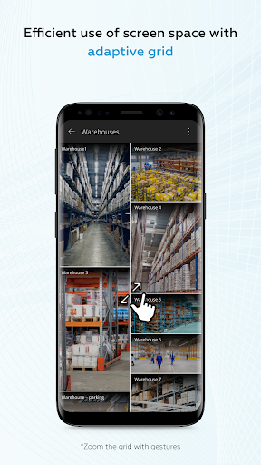 Macroscop video surveillance PC