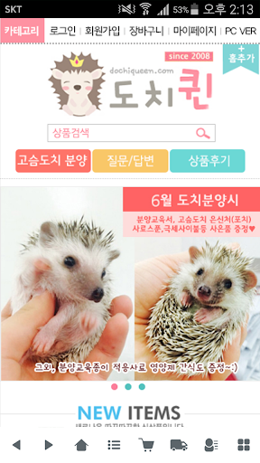 도치퀸 -고슴도치,햄스터용품 쇼핑몰 PC