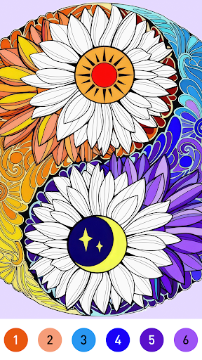 Mandala Color by Number Book PC