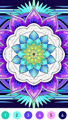 Mandala Color by Number Book PC