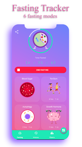 komputer Calorie Counter - EasyFit