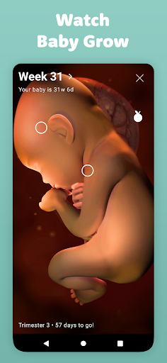 Pregnancy Tracker by Sprout পিসি