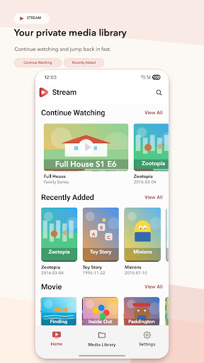 Stream Media Player